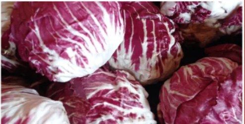 Radicchio, rot-weiß gemasert, dicht gestapelt.